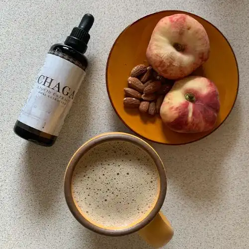 Chaga Extract - The worlds most bioavailable supplement?